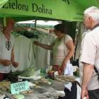 zdjęcie nr 10