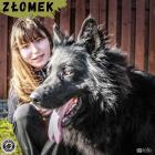 Fotka nr 1 z 19