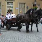 zdjęcie nr 27