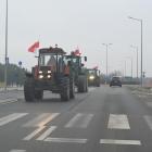 zdjęcie nr 47