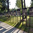 zdjęcie nr 52