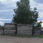 zdjęcie nr 12