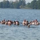 zdjęcie nr 16