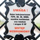 zdjęcie nr 8