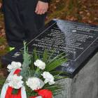 zdjęcie nr 12