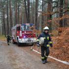 zdjęcie nr 55