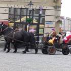 zdjęcie nr 11