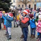 zdjęcie nr 14