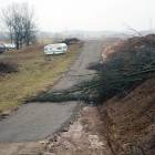 zdjęcie nr 12