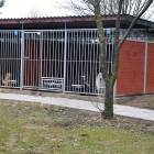 zdjęcie nr 46