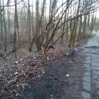 fot. nadesłane