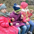 zdjęcie nr 20