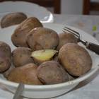 zdjęcie nr 9