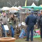zdjęcie nr 21