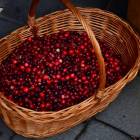 zdjęcie nr 121