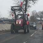 zdjęcie nr 79