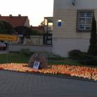 fot. nadesłane