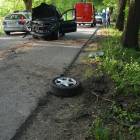 zdjęcie nr 7