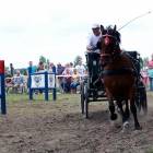 zdjęcie nr 16