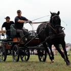 zdjęcie nr 20