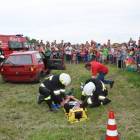 zdjęcie nr 37