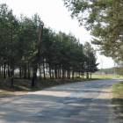 fot. nadesłane