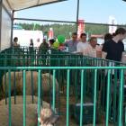 zdjęcie nr 35