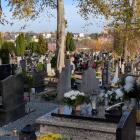 zdjęcie nr 21