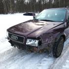 Fotka nr 2 z 4