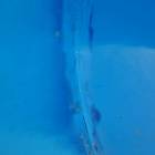 fot. internet/Oskar Tuszkiewicz