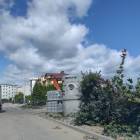 zdjęcie nr 8
