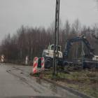 Fotka nr 1 z 12
