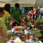 zdjęcie nr 20