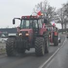 zdjęcie nr 80