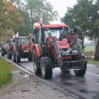 zdjęcie nr 11