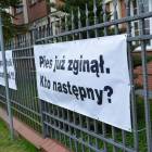 Fotka nr 2 z 22