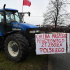 zdjęcie nr 24