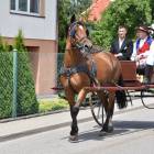zdjęcie nr 104