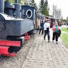 zdjęcie nr 11