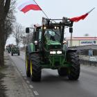 zdjęcie nr 7