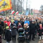 zdjęcie nr 42