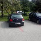 fot. nadesłane