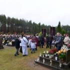 zdjęcie nr 22
