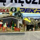 zdjęcie nr 8