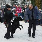 zdjęcie nr 13