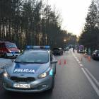zdjęcie nr 13