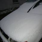 fot. dad