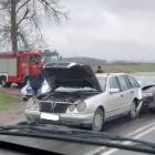 fot. nadesłane
