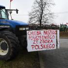 zdjęcie nr 25