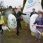 zdjęcie nr 17